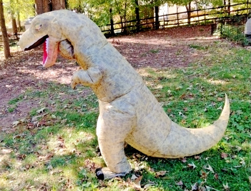 Rex dinosaur inflatable - rex,