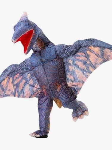 Inflatable pterodactyl - inflatable,